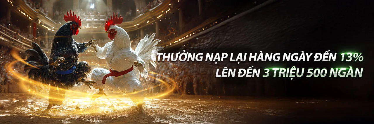 Điều khoản và Điều kiện của tải CM8812