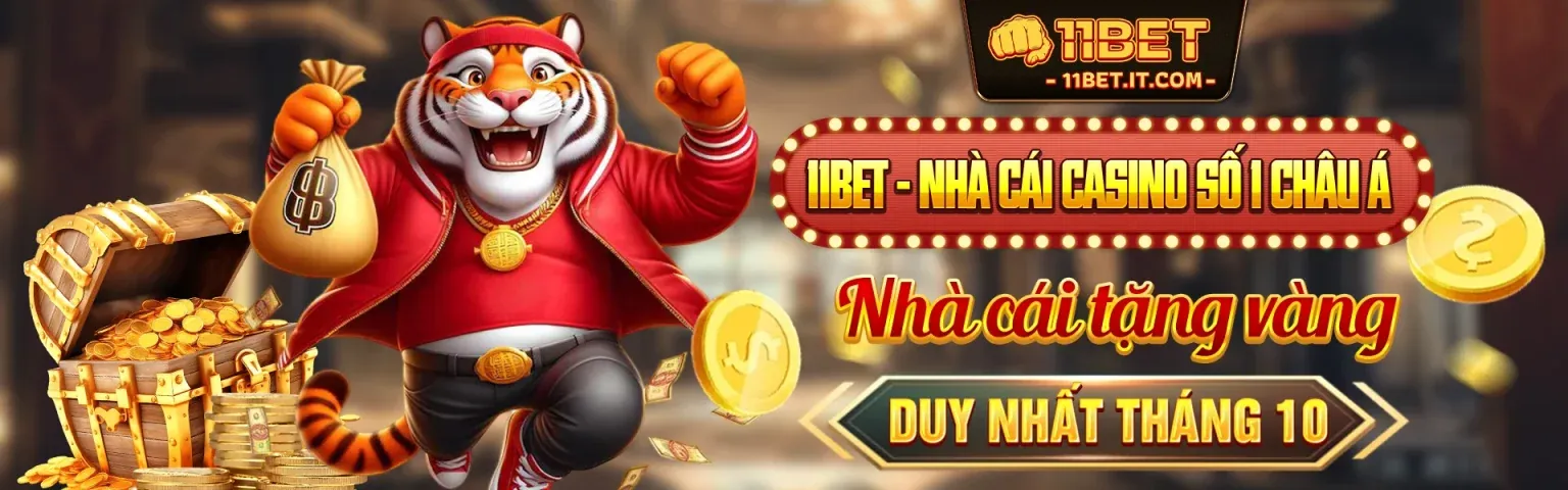 Hình ảnh chính blog CM8812 với chủ đề cá cược trực tuyến
